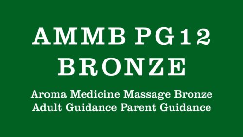 AMMB Bronze