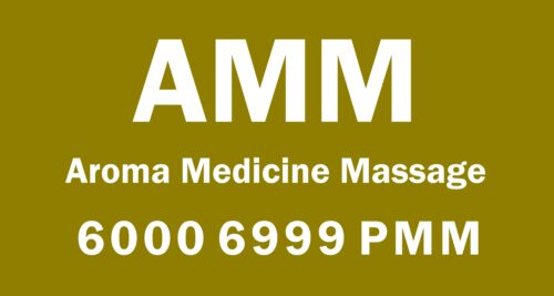 6000 PMM